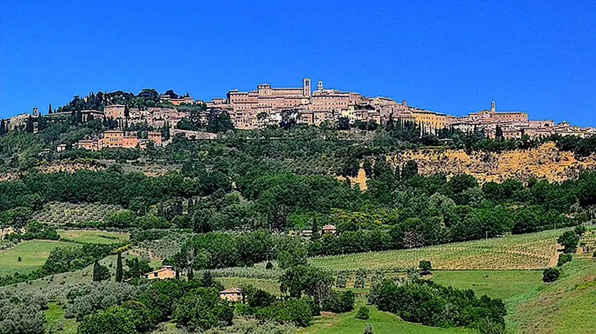 Panorama of Montepulciano and it vineyards