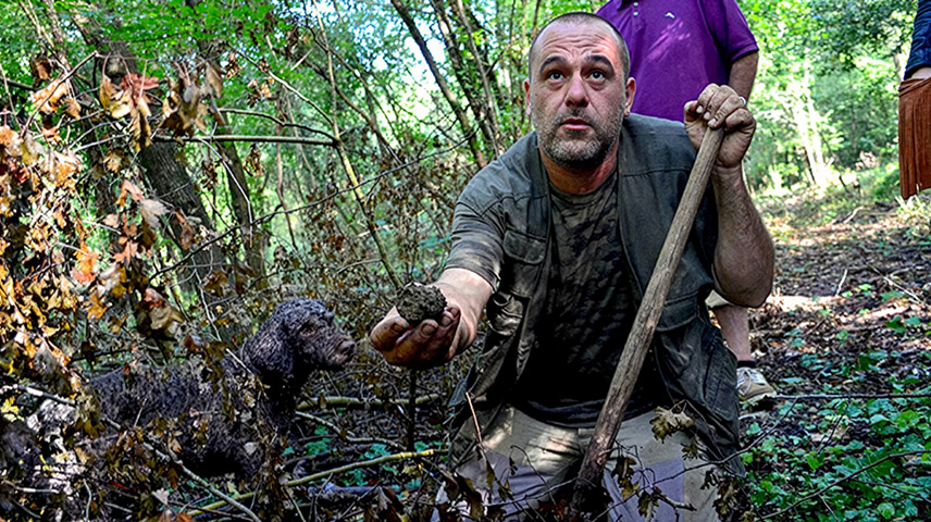 Truffle and Wine Tour - private Wine Tour