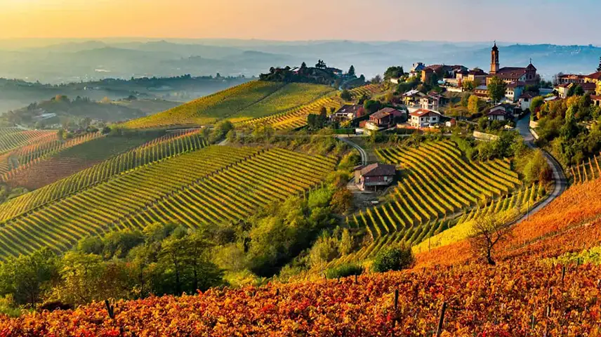 Panorama of the Barolo wine region