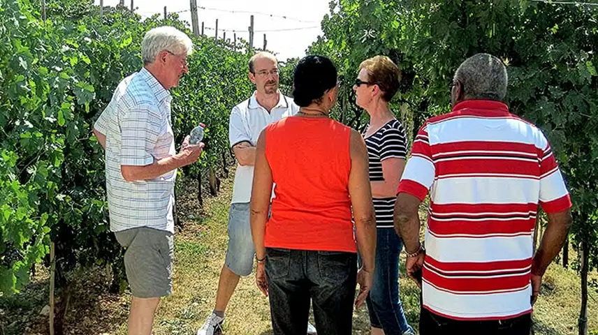 People on a Valpolicella and Amarone Wine Tour