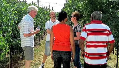 euganean - private Wine Tour