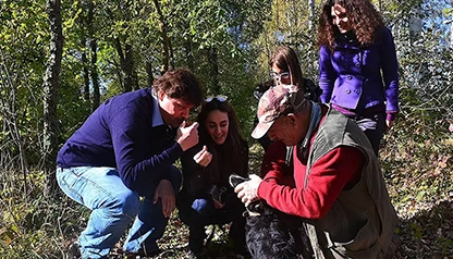 Truffle Hunting in Tuscany - private Wine Tour