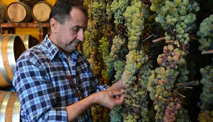 5-Days Private Wine Holiday in Tuscany      - private_package														Wine Tour